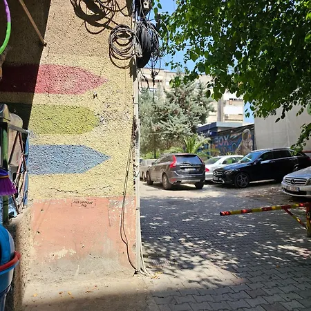 Amafiore * Tiran